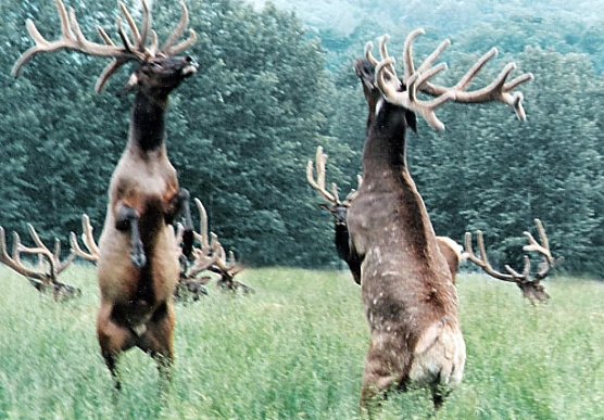 "Abenteuer Skandinavien" (Foto: Stadtjugendring Sondershausen)