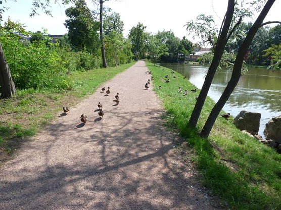 Sanierung Parkbr&uuml;cke und F&uuml;rstenweg (Foto: Karl-Heinz Herrmann)