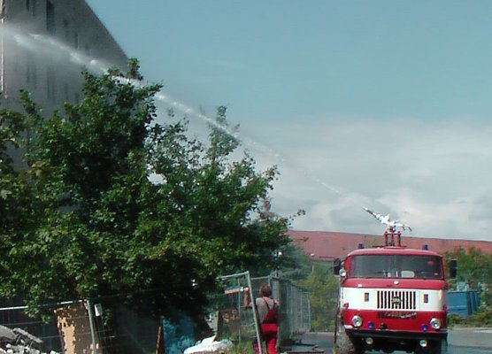 Ob er w&auml;chst? (Foto: Karl-Heinz Herrmann)