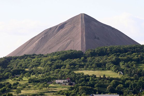 Hohe Linde (Foto: Sangerhausen-Tourist)