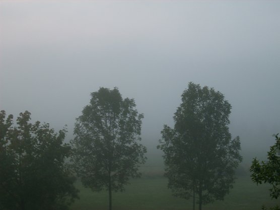 Nebel nach Gewitter (Foto: Karl-Heinz Herrmann)