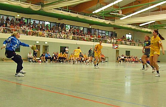 Werbung f&uuml;r den Handball (Foto: Karl-Heinz Herrmann)