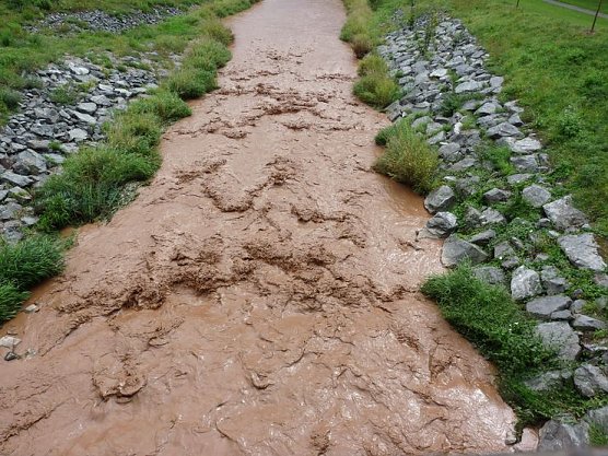 Was f&uuml;r eine Br&uuml;he (Foto: Karl-Heinz Herrmann)