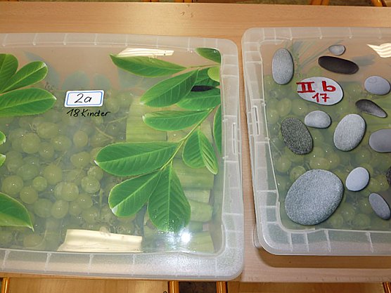 Schulobstprogramm gestartet (Foto: Karl-Heinz Herrmann) Schulobstprogramm gestartet (Foto: Karl-Heinz Herrmann)