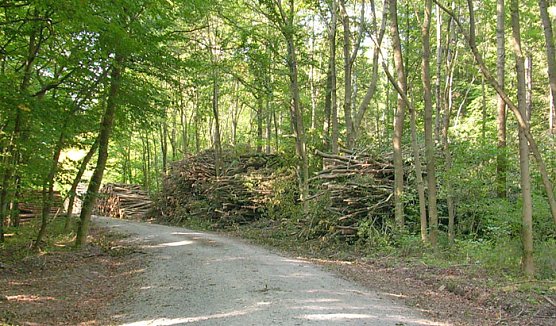 Bald Schrankwand (Foto: Karl-Heinz Herrmann) Bald Schrankwand (Foto: Karl-Heinz Herrmann)