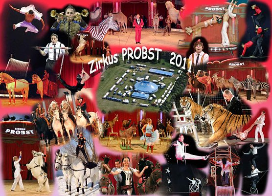 Zirkus Probst (Foto: Zirkus Probst) Zirkus Probst (Foto: Zirkus Probst)