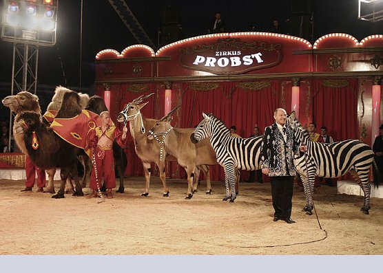Zirkus Probst (Foto: Zirkus Probst) Zirkus Probst (Foto: Zirkus Probst)