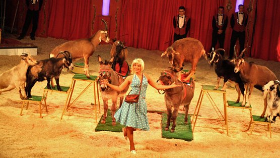 Zirkus Probst (Foto: Zirkus Probst) Zirkus Probst (Foto: Zirkus Probst)