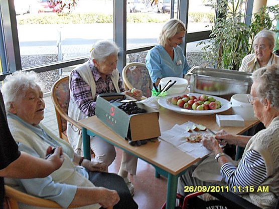 Kleingartenvereine spendeten Obst (Foto: T. Leipold)