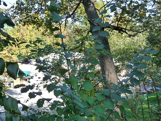 Samstagnachmittag heute (Foto: Karl-Heinz Herrmann)