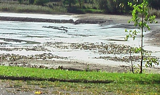 Bebraer Teich (Foto: Karl-Heinz Herrmann)