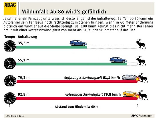 Grafik (Foto: ADAC) Grafik (Foto: ADAC)