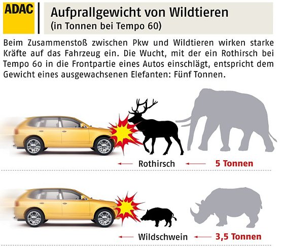 Grafik (Foto: ADAC) Grafik (Foto: ADAC)