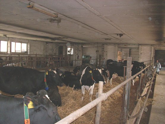 Agrar- Donndorf (Foto: Karl-Heinz Herrmann)