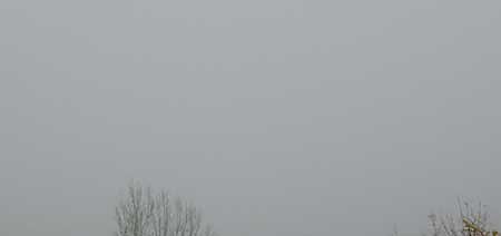 Diesig (Foto: Karl-Heinz Herrmann)