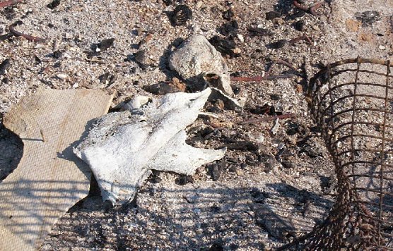 Maifeuer Großberndten (Foto: Andreas Links) Maifeuer Großberndten (Foto: Andreas Links)
