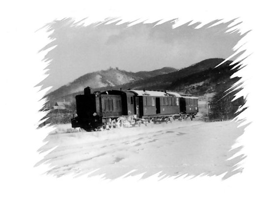 "&Uuml;bern Berg geschaut... (Foto: T. Pfennig)