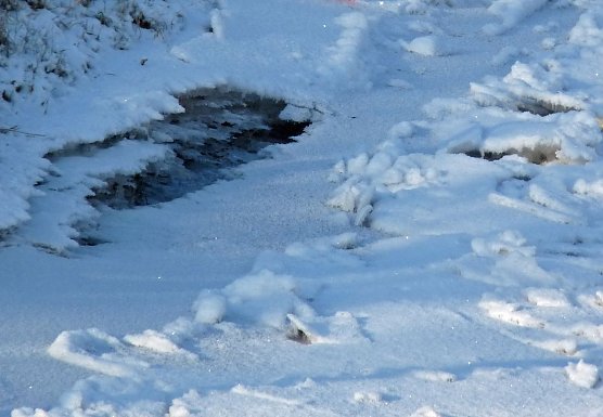 Vorsicht Eis! (Foto: Karl-Heinz Herrmann) Vorsicht Eis! (Foto: Karl-Heinz Herrmann)