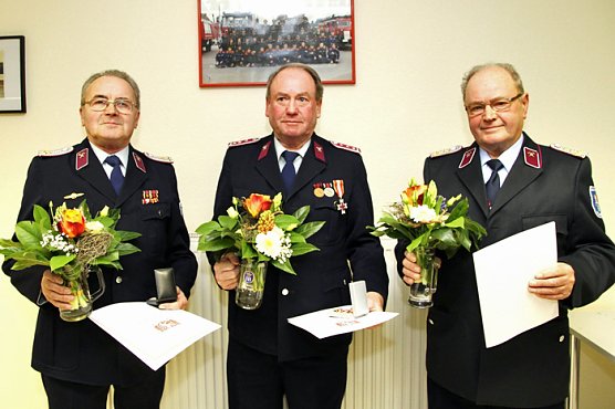 Zwei goldene Sterne (Foto: Günter Herting) Zwei goldene Sterne (Foto: Günter Herting)