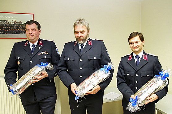 Zwei goldene Sterne (Foto: Günter Herting) Zwei goldene Sterne (Foto: Günter Herting)