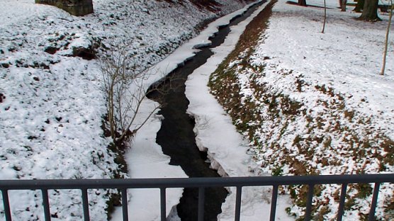 Warum das und nicht das? (Foto: Familie Kieper)