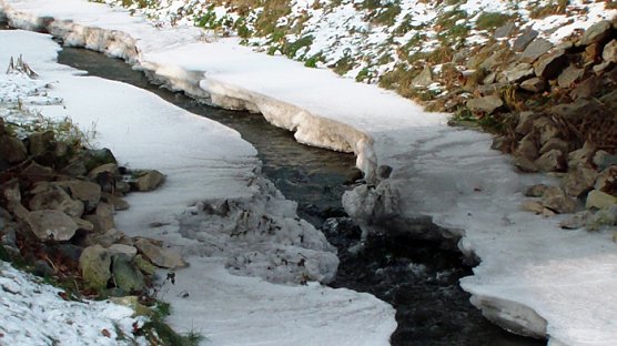 Warum das und nicht das? (Foto: Familie Kieper)