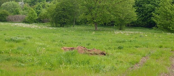 Bau Skaterhalle SDH (Foto: Karl-Heinz Herrmann)
