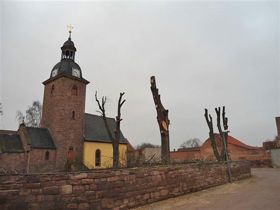 Baumverschnitt ohne Genehmigung (Foto: Stadt Bad Frankenhausen)