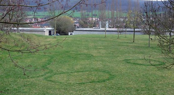 Sehr seltsam! (Foto: Karl-Heinz Herrmann) Sehr seltsam! (Foto: Karl-Heinz Herrmann)