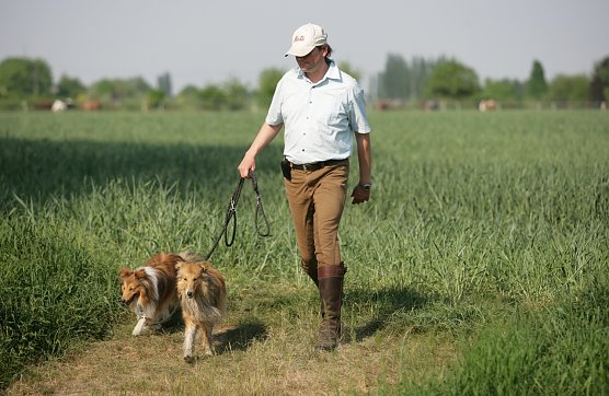Angeleint im Wald (Foto: privat) Angeleint im Wald (Foto: privat)