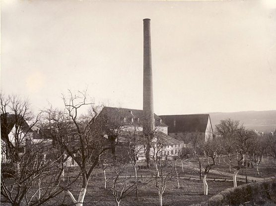 Was Bäume erzählen (2. Teil) (Foto: Regionalmuseum Bad Frankenhausen) Was Bäume erzählen (2. Teil) (Foto: Regionalmuseum Bad Frankenhausen)