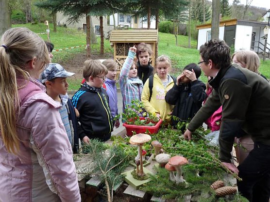 Spielerische Waldp&auml;dagogik (Foto: Karl-Heinz Herrmann)