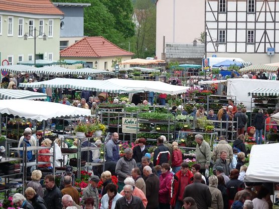 Blumige F&uuml;lle (Foto: Karl-Heinz Herrmann)
