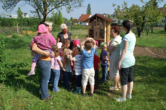 Kartoffeln (Foto: Thomas Leipold)