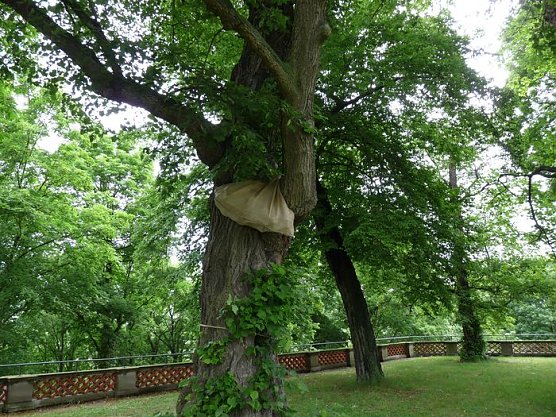 Spannendes Schulfest (Foto: Karl-Heinz Herrmann)