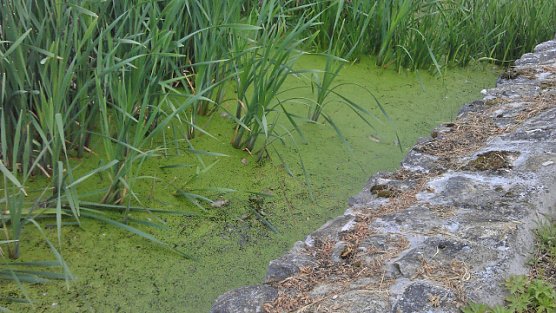 Wer ist verantwortlich? (Foto: Julia K&ouml;hler)