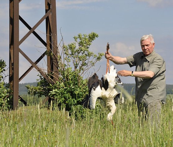 Todesfalle Stromnetz (Foto: B. Frey)