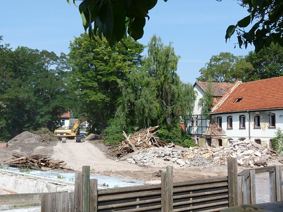 Vorbei geschaut (Foto: Karl-Heinz Herrmann) Vorbei geschaut (Foto: Karl-Heinz Herrmann)