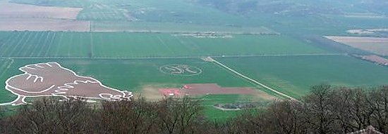 Bodenbild (Foto: Karl-Heinz Herrmann) Bodenbild (Foto: Karl-Heinz Herrmann)