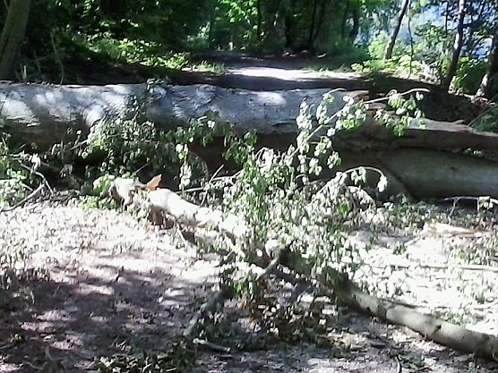 Neues aus Berka und Jecha (Foto: privat)