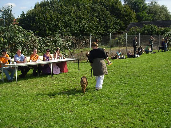 5. "Frankenhisser Hundetag" (Foto: ABC Hundeschule)