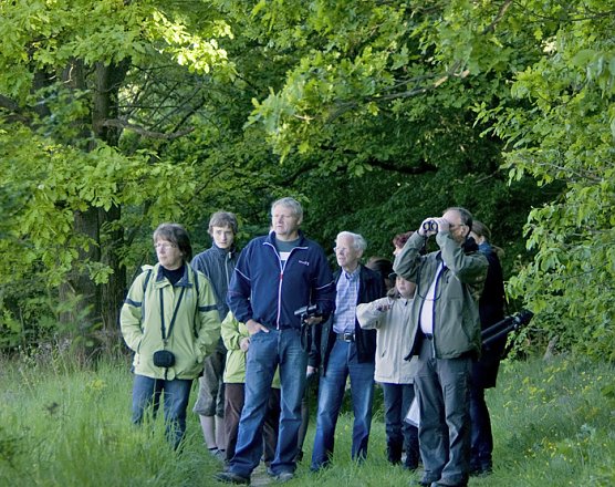Durch Hohe Schrecke (Foto: Thomas Stephan)