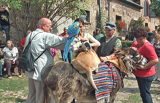 Der Trick mit den Stadtmusikanten (Foto: Karl-Heinz Herrmann) Der Trick mit den Stadtmusikanten (Foto: Karl-Heinz Herrmann)