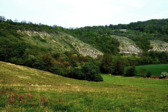 Wipperdurchbruch (Foto: Naturpark Kyffh&auml;user)