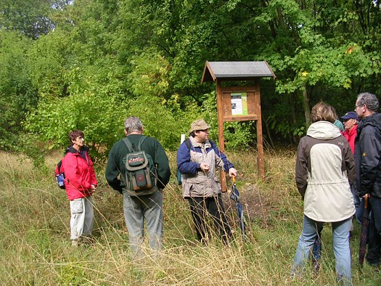 Durch das Durchbruchstal der Wipper (Foto: Regionalmuseum Bad Frankenhausen)