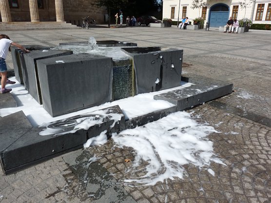 Schaum (Foto: Karl-Heinz Herrmann)