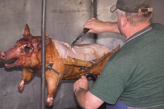 SPD-Sommerfest (Foto: Archiv SPD-Kyffhäuserkreis) SPD-Sommerfest (Foto: Archiv SPD-Kyffhäuserkreis)