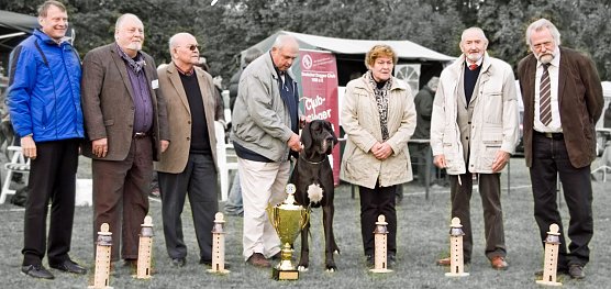 Gruppenbild mit Hunde (Foto: privat)