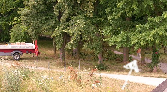Baumpflege Schlosspark (Foto: Karl-Heinz Herrmann) Baumpflege Schlosspark (Foto: Karl-Heinz Herrmann)