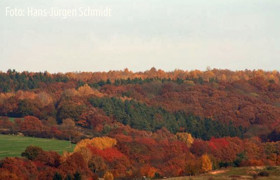 Bald ist es soweit (Foto: Hans-J&uuml;rgen Schmidt)